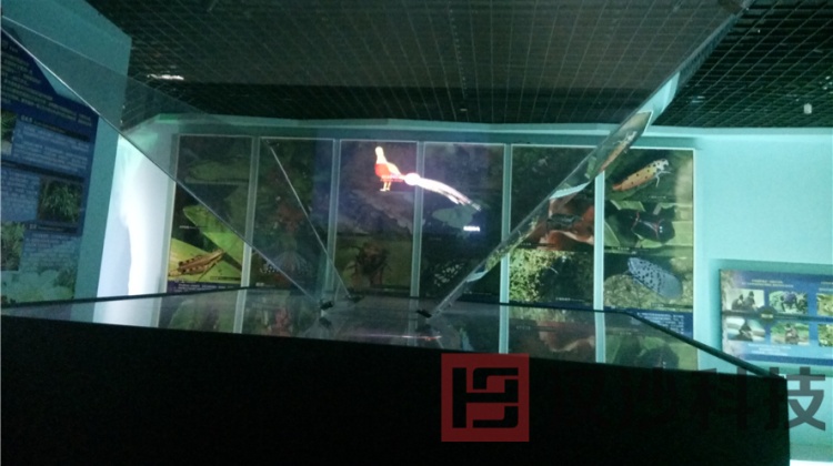 360全息.jpg