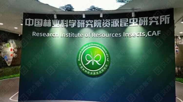 汉沙集团匠心打造云南昆虫研究院展厅，让资源昆虫科学走近大众